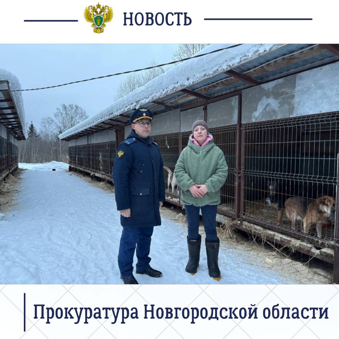 Боровичский межрайонный прокурор Алексей Осипов и работники ведомства посетили приют для бездомных животных «Найда»