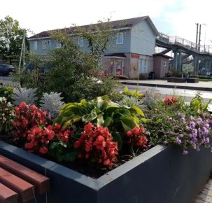 ��������-������� �� �������� ����� ��� �� ����� ���������� � ���������� ��������� ������������ �����