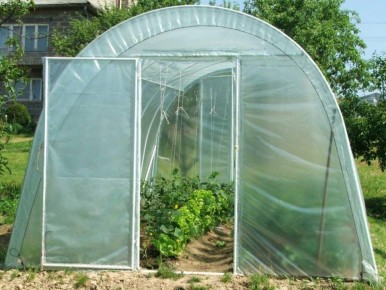 Как правильно натянуть пленку на теплицу: практическое руководство