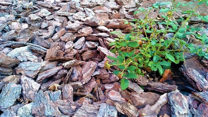 ��� ��������� ������� �������� ��� ��������: ����������� ������ ��������� ������