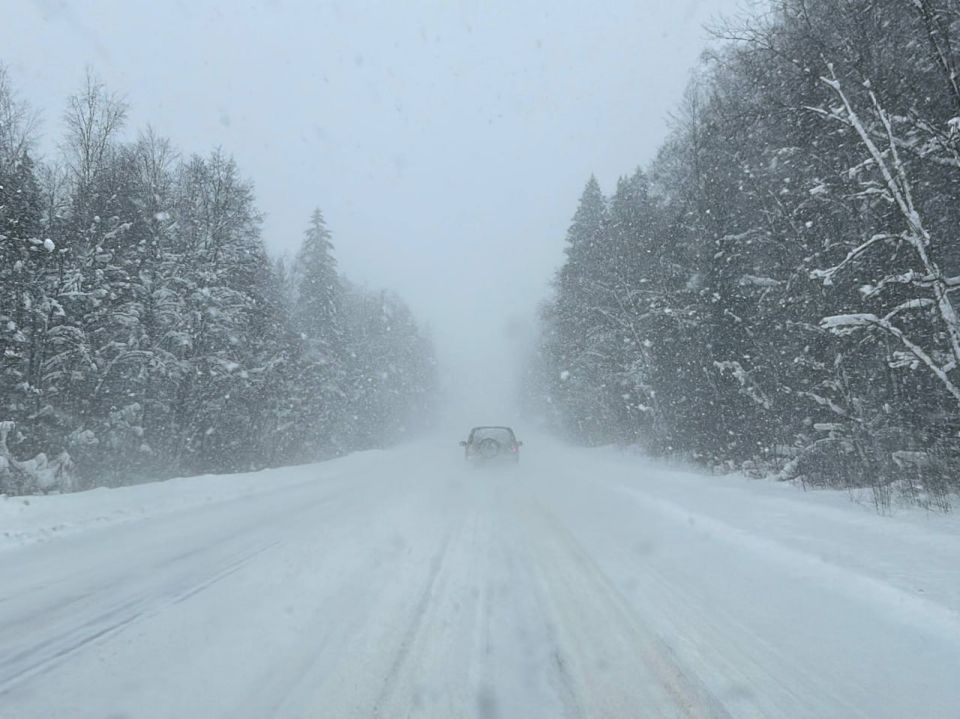 На заснеженные дороги Новгородской области вышли 80 спецмашин