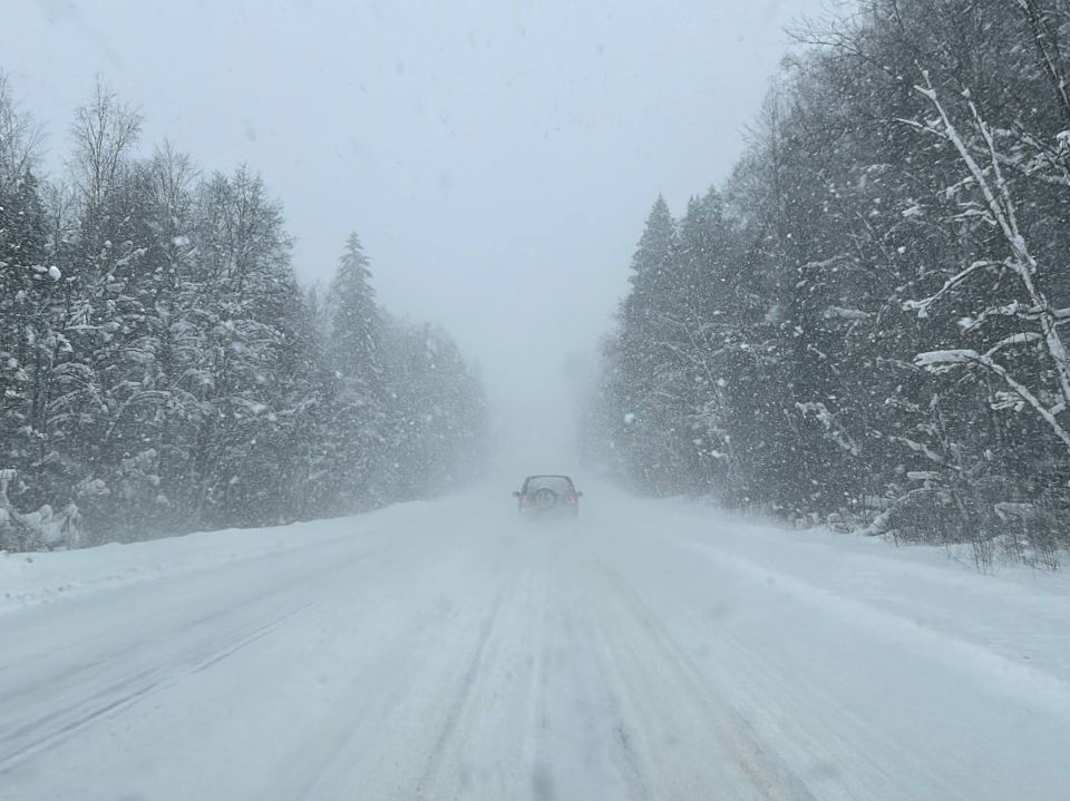 ��������������� �������� �������