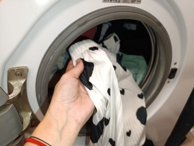 ������� ��������: ��� ������ �������� ����� ��� ������