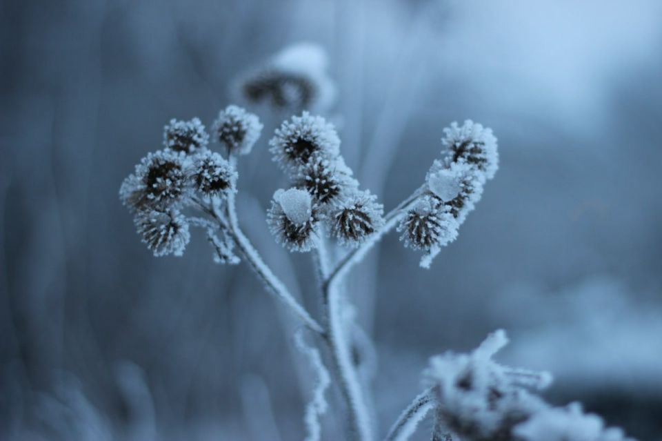 В Новгородской области значительно понизится температура