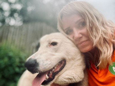 ���������� ��������� ���������� ������������ ������������� ������ ���� �������� � ������ ������