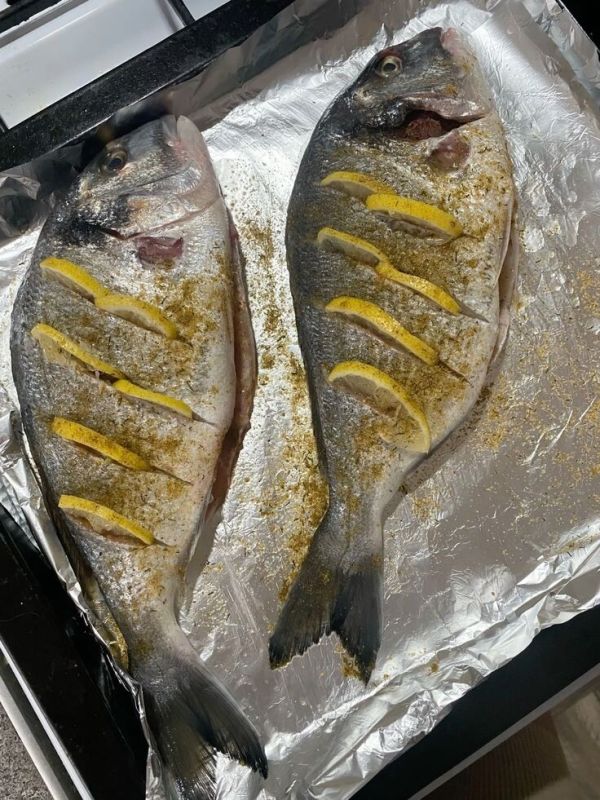 ����� ���������: ���-5 ��������� ��� ���������� �������� �� ��������� ������