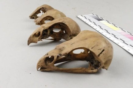 � XII ���� �� ���������� ���������� ������� � ������ ����� ��� ��������� ����