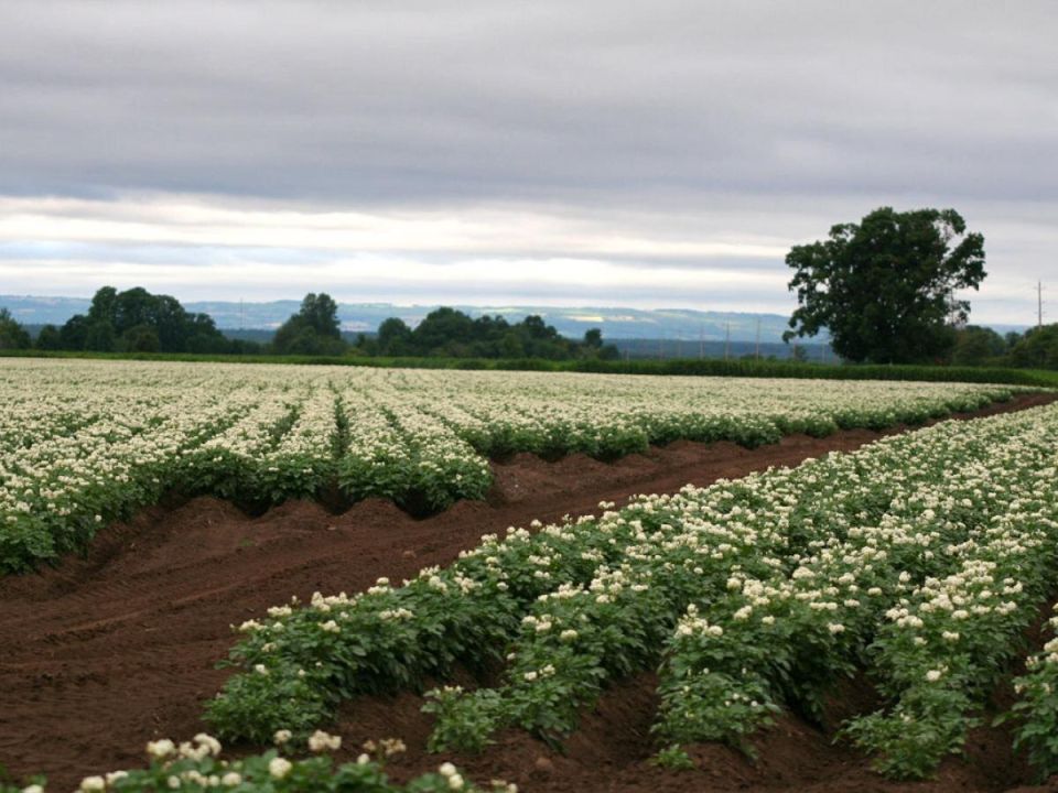 ����������� ������ �������� ������ ���������: ���������� ������ �����