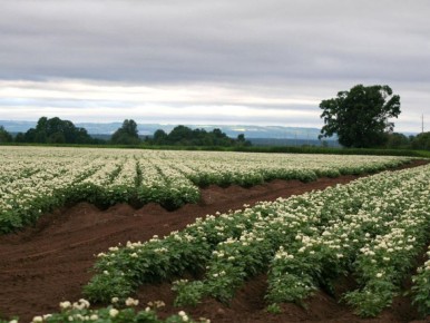 ����������� ������ �������� ������ ���������: ���������� ������ �����