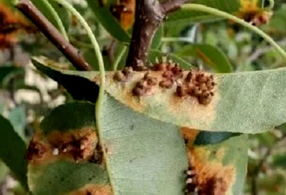 ��� ���������� �� ��������� �������� � ����: ����������� �������