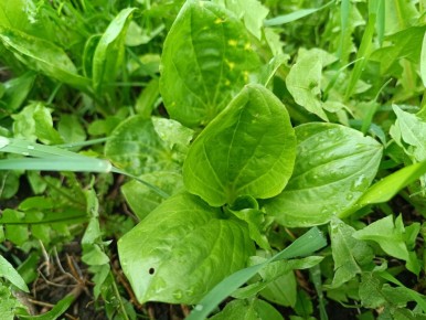 ���������� ��� ��������� ��������� �����: ��� ����� ����� ���������