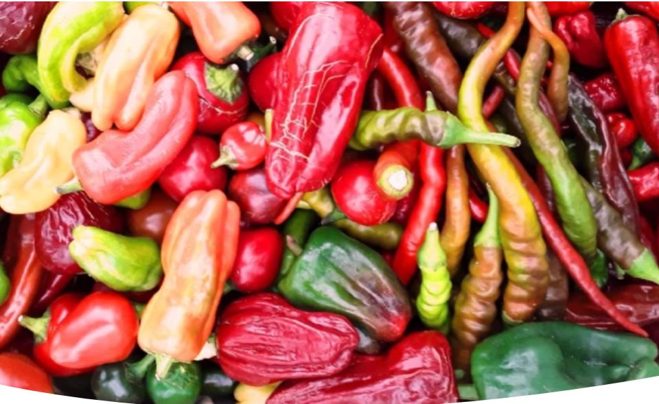 ������� ��������: ��� ������������ ��������� �� ����������� ����� �� ����