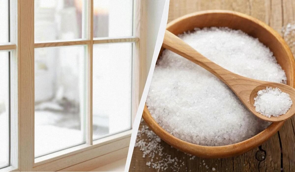 Как легко избавиться от конденсата на окнах: бюджетный совет