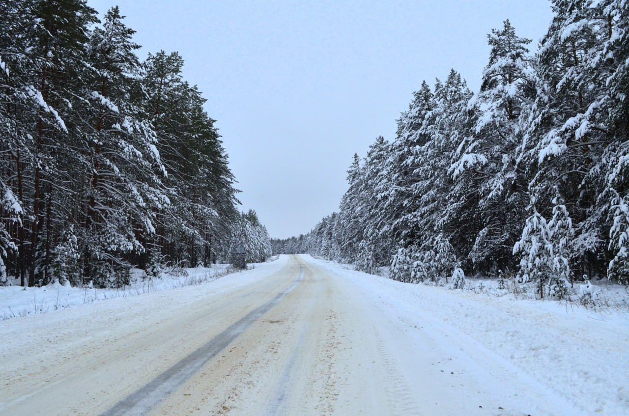 На Новгородскую область вновь надвигается снегопад