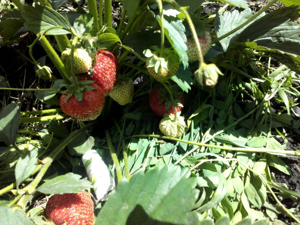 ������� ����� �� ��������� � ����� ������������