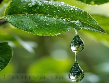 Как нашептать воду, чтобы она исцеляла: удивительные секреты