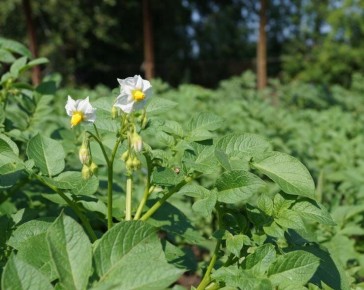 ��� ��������� �������� � ��������� ������: 5 ����������� �������