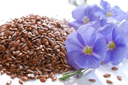 ��� ������������: ������������ �������� � ���������� � �������� � ���������