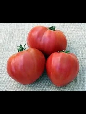 ������� ������ ������: ��� ��������� ������� ����� � ����������� ������� ������