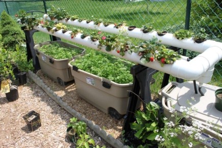 ������������ � ���������: ��� ������������ ��� ����� ��� ����������� ����