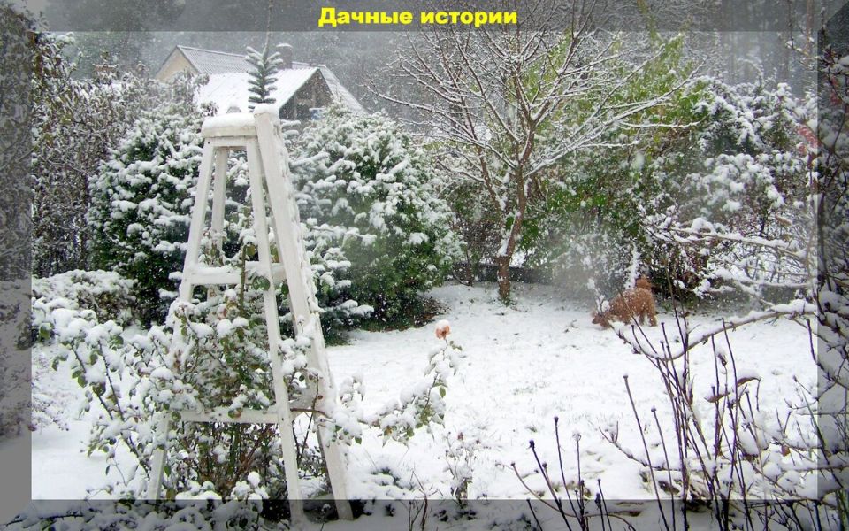 ��� ������ ���� ������� �� ������ �����: ������� ������ ���������� ��� ��������