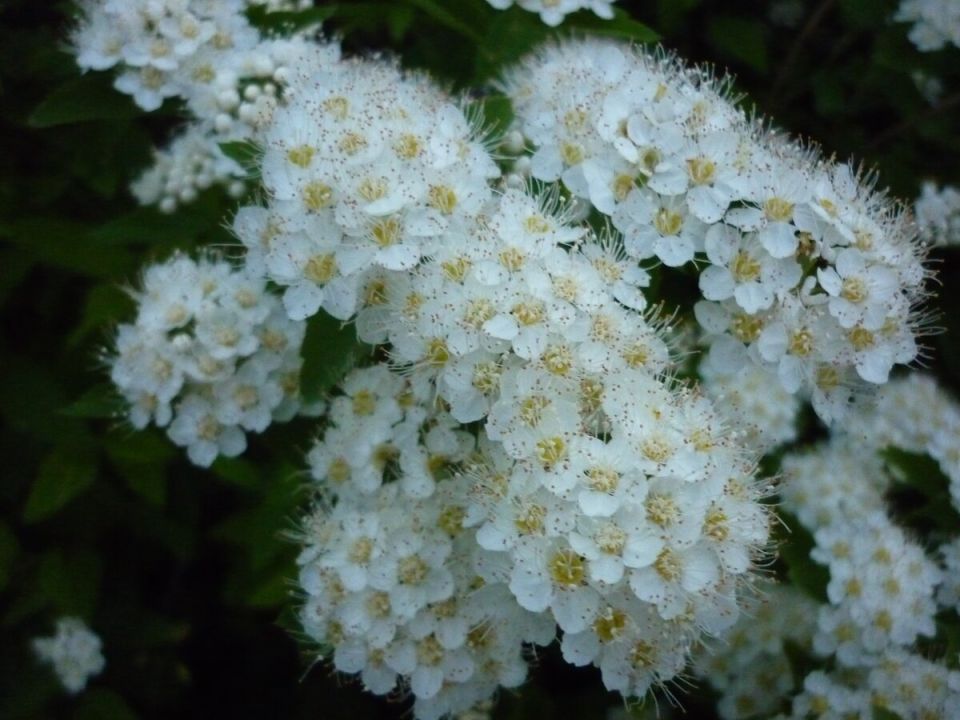 ���������� ������� ������: ������� ����������� ����� �� �����������