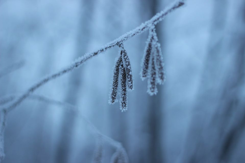 �������-�� �����. ����������� ���������� � ������ ��� ������� ������������