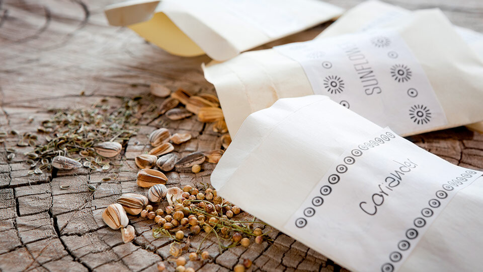 Как сохранить семена на долгие годы: секреты долголетия всхожести