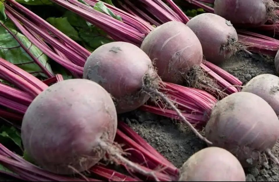 ������������ � ������� ������� ��������� 5,9 ������ ���� ������