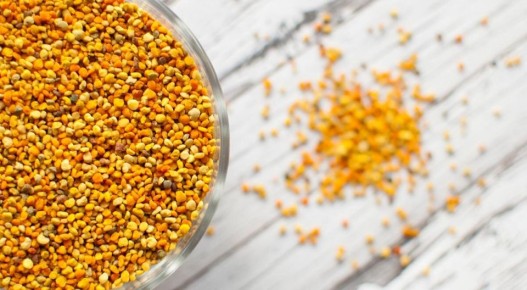 �������� ������: �������� ����� ����� ����������