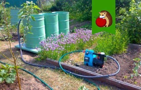 ��� �������� ����� � �����, ����� �������� ���������