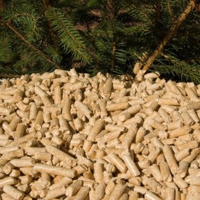 ������ ��������� ������� � ������ ������� ��� ��������� ������ ����