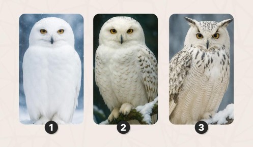 ����� ����� ��� ����������� ����: �������� ��� ���� ���� � ��������