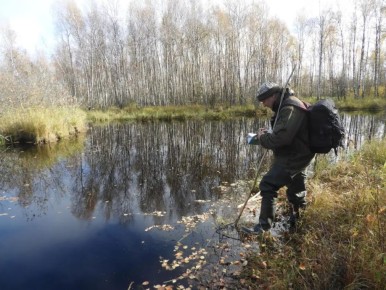 Более 20 лет доктор биологических наук Николай Александрович Завьялов из Холма занимается наукой в Рдейском государственном заповеднике