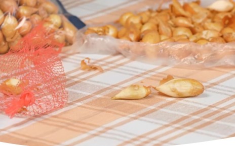 ��� ��������� �������� ���: ������� �������� ������� �����