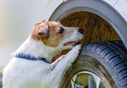 ��� �������� ����� � ����� �� ������������ ���������� ��-�� ��������� �����