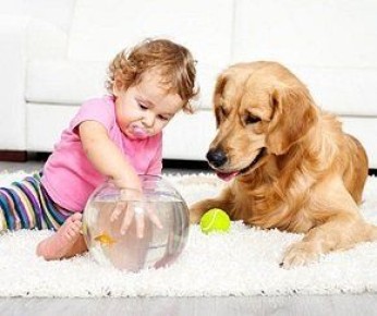 ��� ������ �������� ���������� ������� � ��������� ��� � ��������