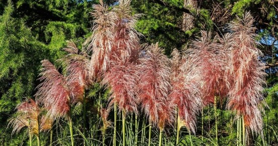 ��������� �����: ��� ��������� ��� ���������� ������� � ����� ����