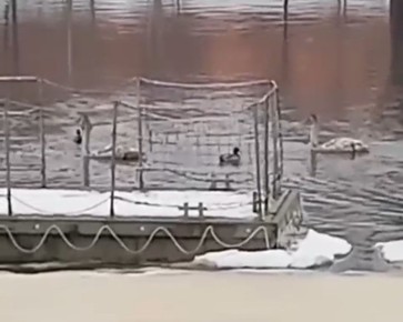 � ������� ��������� ����������������� ��������� � ������� �� ������� ������