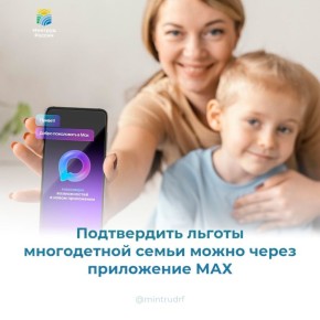 Новгородские многодетные семьи могут подтверждать льготы через приложение МАХ