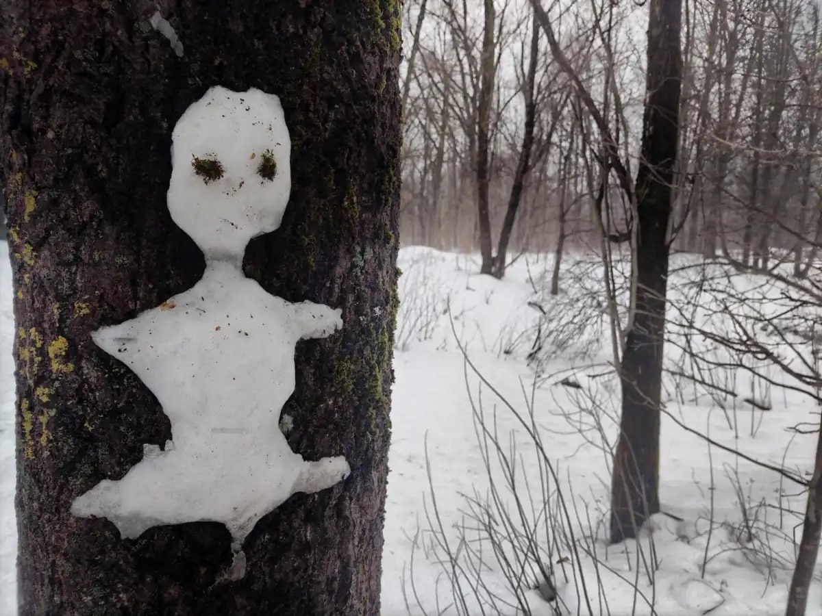 Вихрь с Атлантики принесёт в Новгородскую область тёплую и влажную погоду