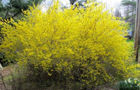 �������� ������ ������: ��� ��������� �������� � ����