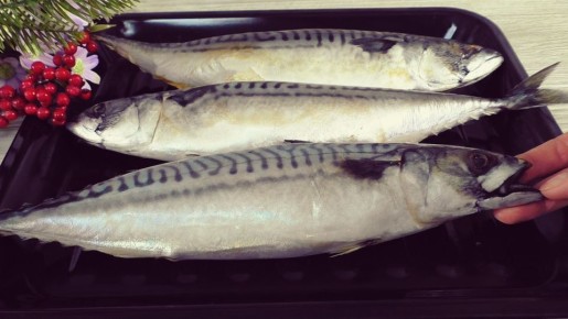 Как быстро и вкусно приготовить рулеты из скумбрии