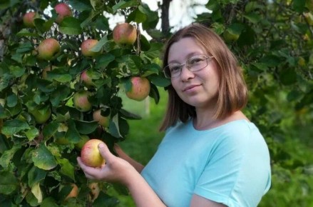 Как на одном дереве вырастить яблоки разных сортов