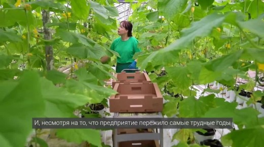 ���������� ��������� ������ ��������� � ����������� ���������� ��������� ���������� ��������� ����������