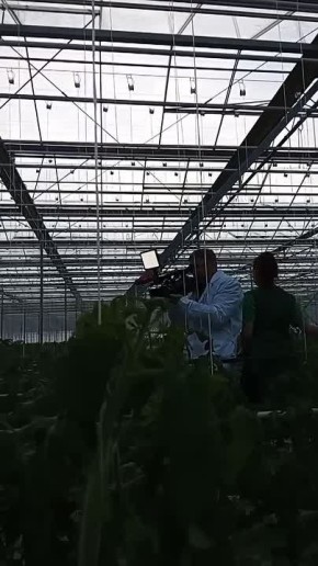 �� ��� ������ �� ������ ���� ���������, ����� ������� �������� �����