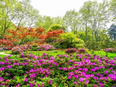 Март — время для цветения: 5 растений, которые стоит посадить уже сейчас