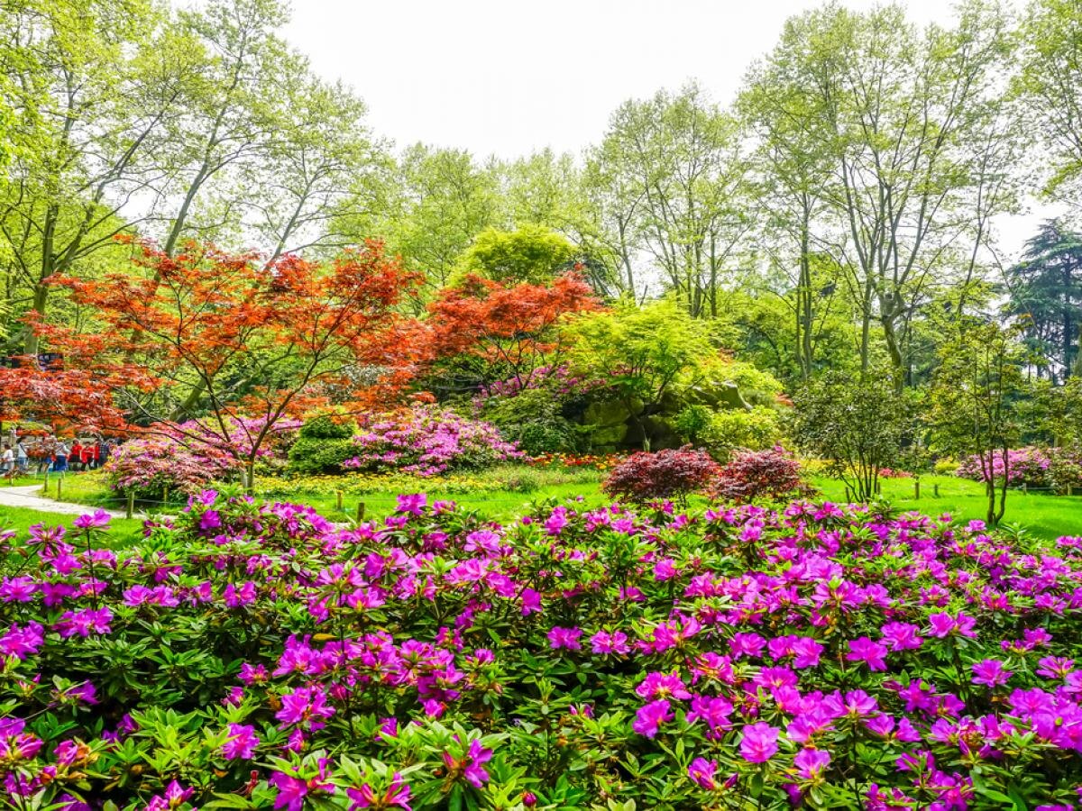 Март — время для цветения: 5 растений, которые стоит посадить уже сейчас