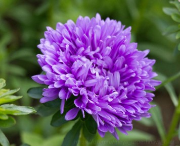 ��� �������� ������� �������� ����: ������� �������� �������