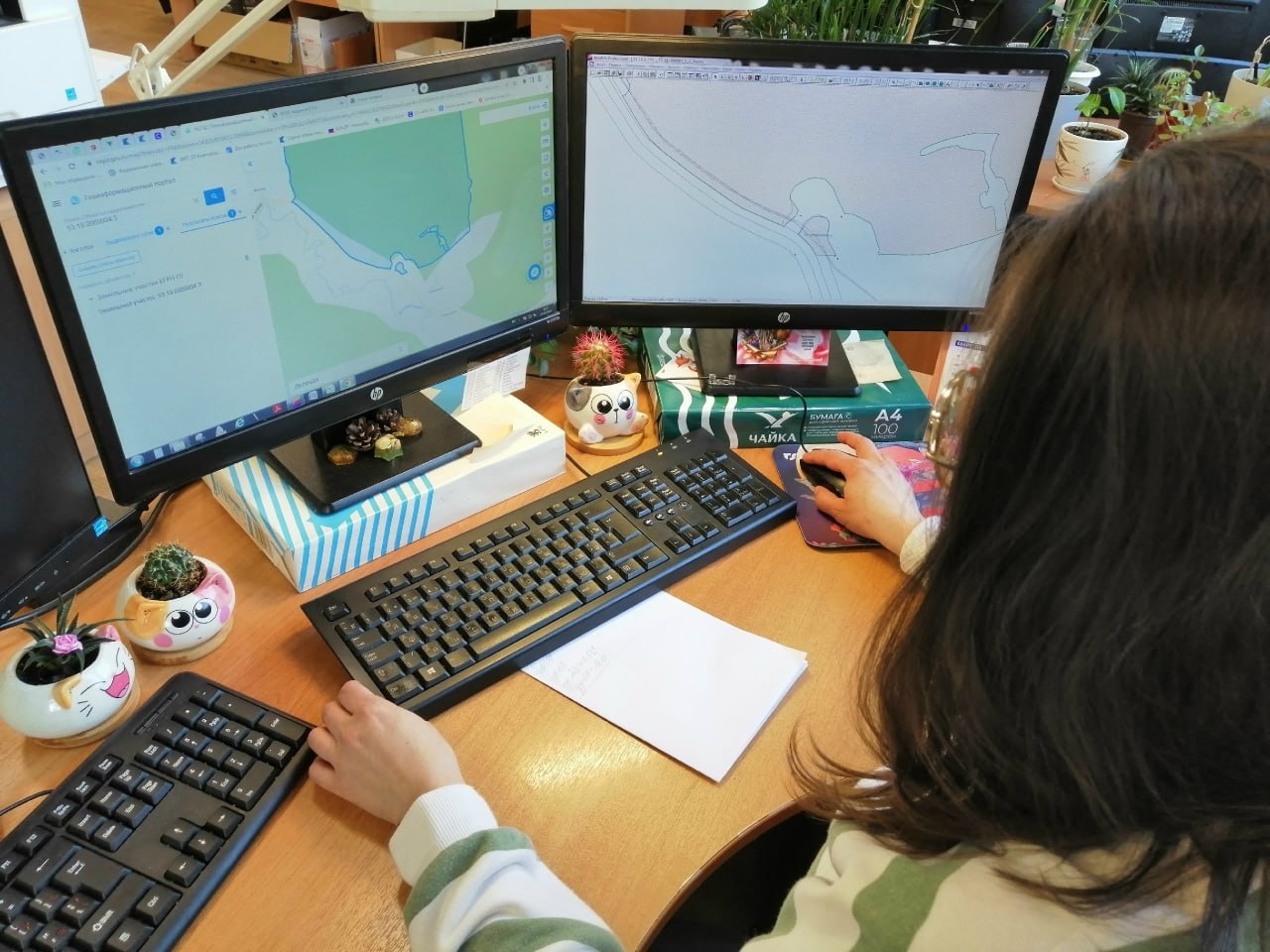 Новгородский Роскадастр проведёт горячие линии в марте